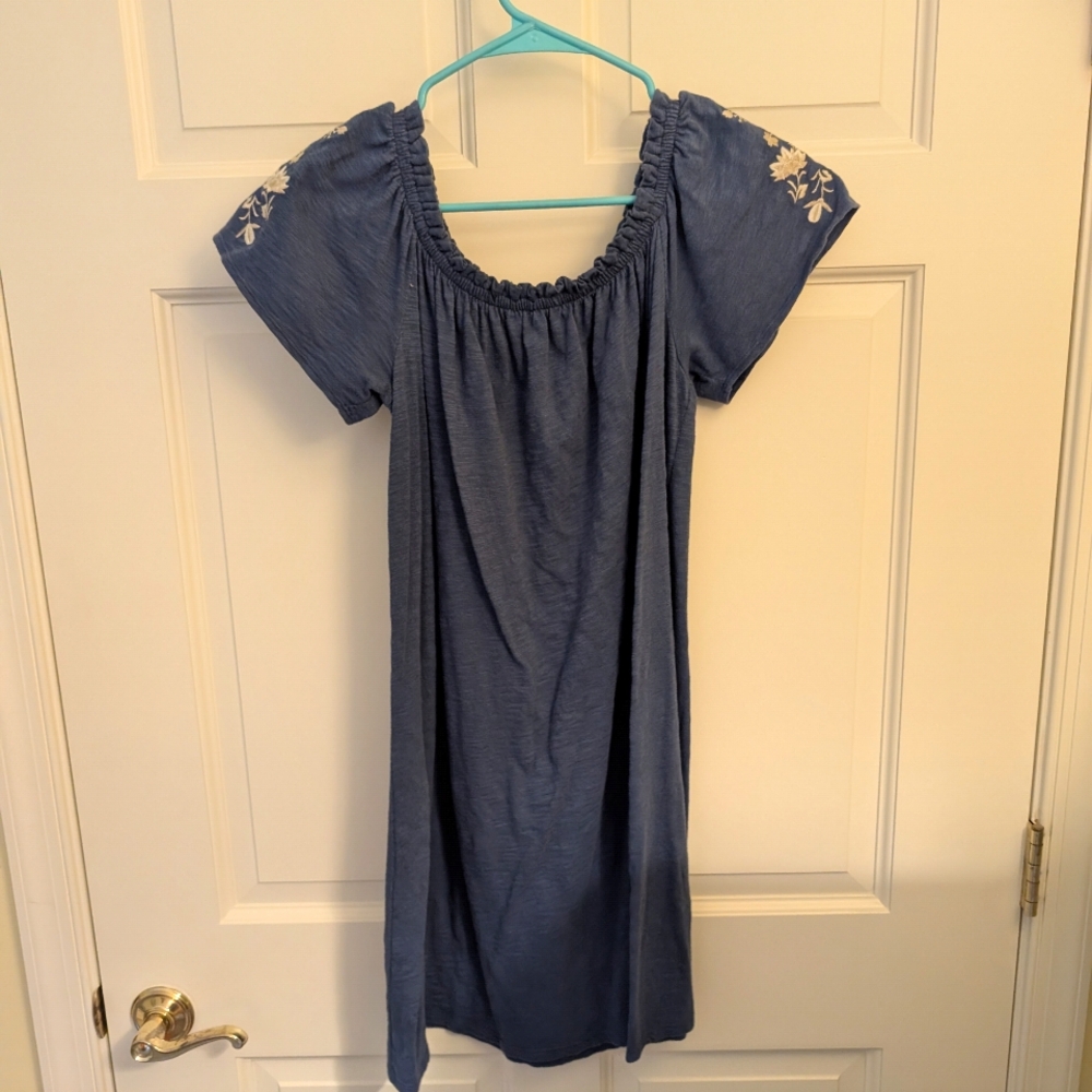 Abercrombie & Fitch Dress with Embroidered Sleeves